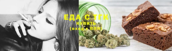 молекула духа Осташков
