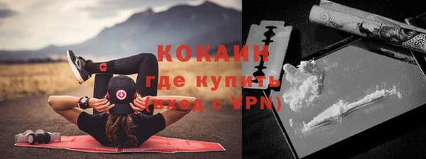 дживик Абаза