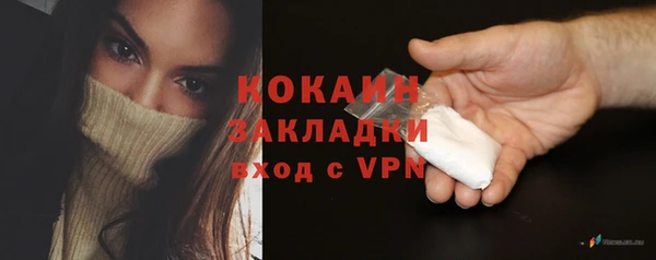дживик Абаза