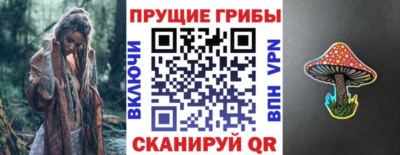 наркотики  Ардон  Псилоцибиновые грибы Magic Shrooms 